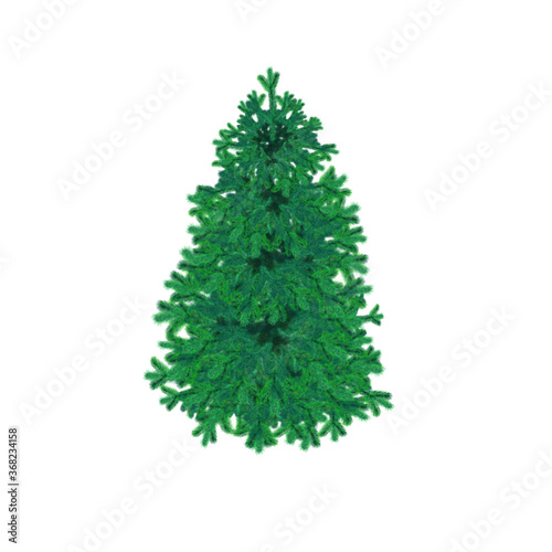 Christmas tree. New Year. Festive design element. White background. Can be used for websites, postcards, tabs, frames.
