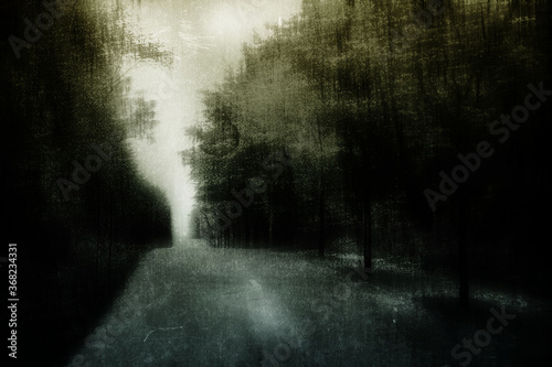 The road in the forest  mysterious grunge landscape  summer wallpaper