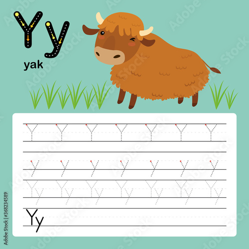 Y, yak, Alphabet tracing worksheet for preschool, vector, illustration 
