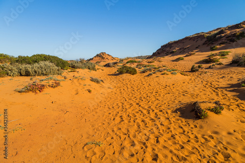 Sandy coast at Alentejo