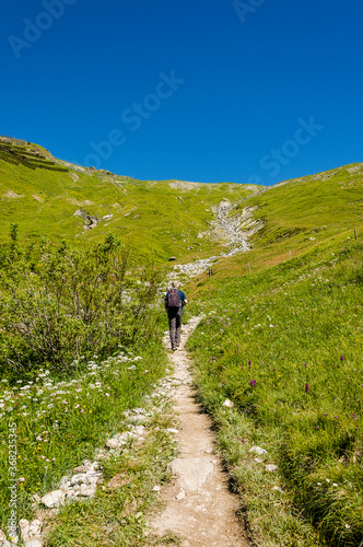 Ftan  Alp Laret  Wanderweg  Wanderer  via Engiadina  Bergwiesen  Alm  Alpen  Schweizer Berge  Unterengadin  Graub  nden  Sommer  Schweiz
