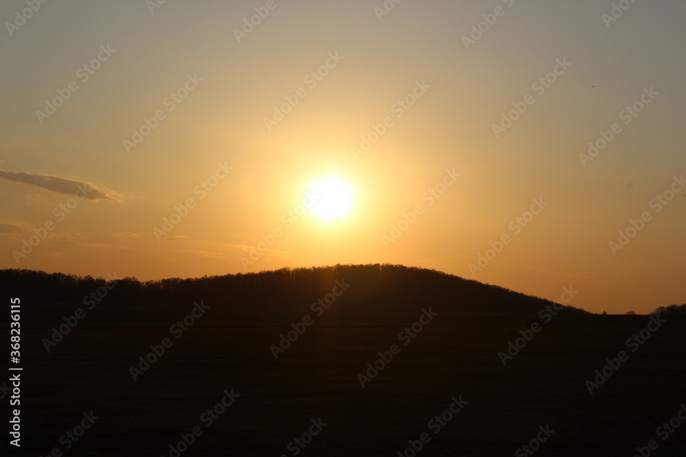 sunset over the forest