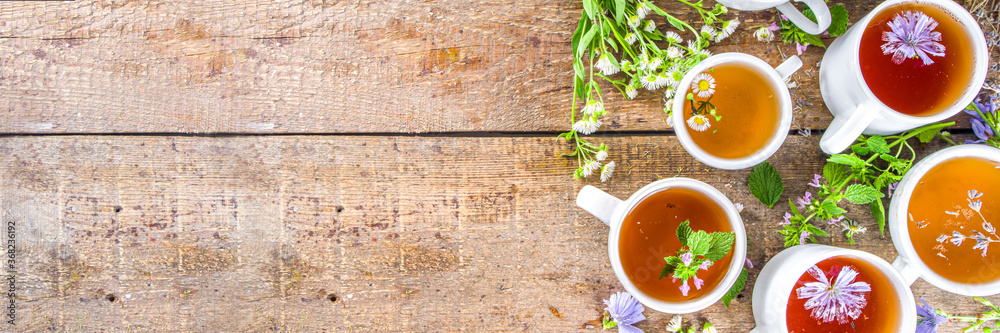 Different herbal tea set. Various  cups with organic herbal, flower tea - camomile, chicory, melissa mint, lavender. Organic natural drinks concept. Health and immunity care beverages