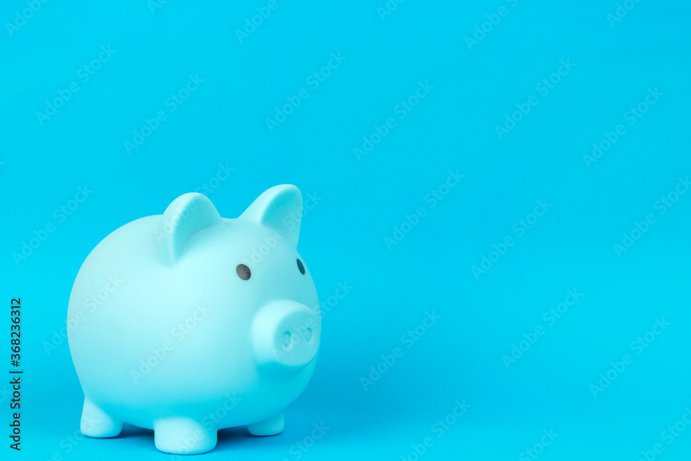 piggy bank in the form of a pig on a blue background	