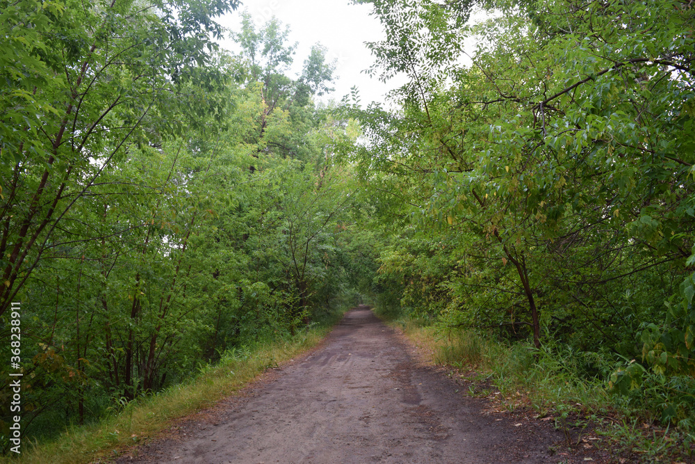 Trees, fields, grass, river collection