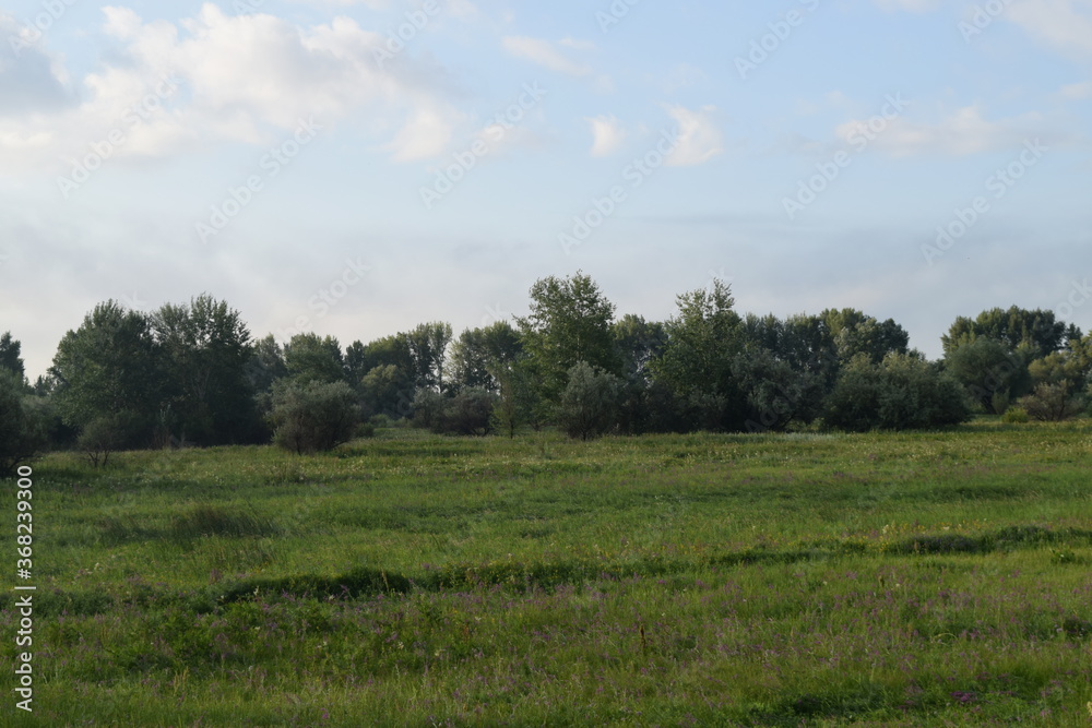 Trees, fields, grass, river collection