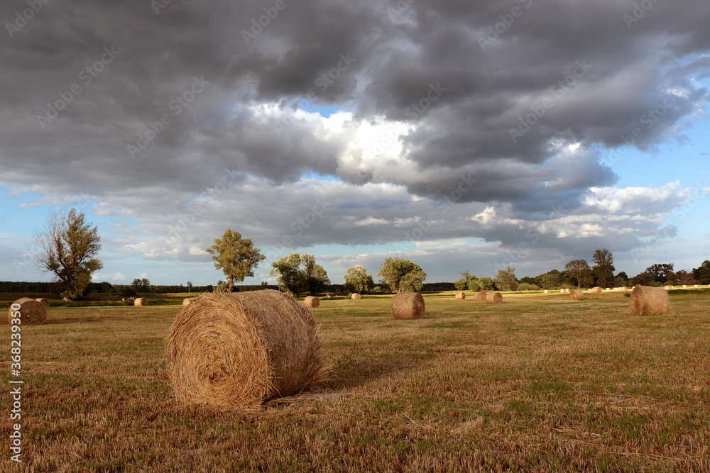 Dark clouds over a sheaf of hay in the meadow.