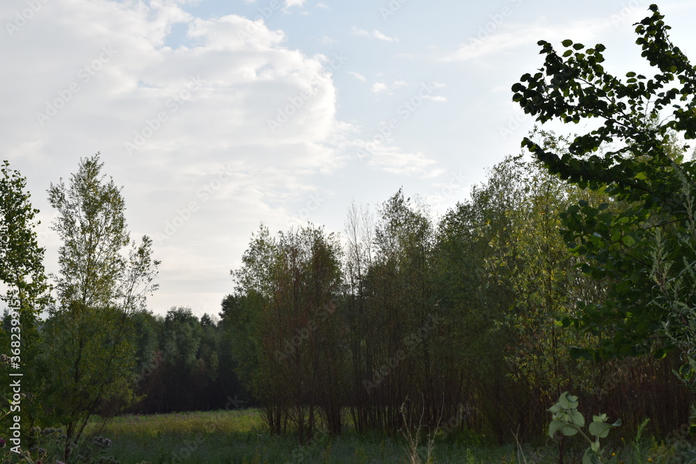 Trees, fields, grass, river collection