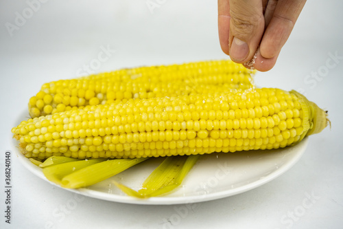 boiled sweet corn with salt on a white plate
