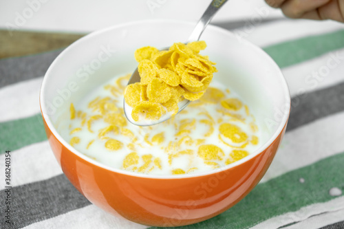 dry cornflakes in a bowl with milk, healthy food