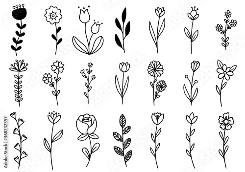 0157 hand drawn flowers doodle