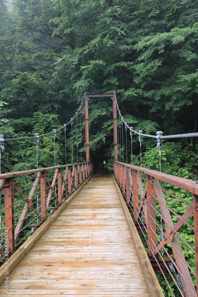 Obraz premium nature in Hinohara village ,japan,tokyo