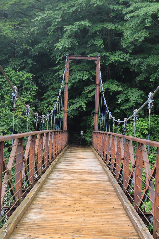 Obraz premium nature in Hinohara village ,japan,tokyo