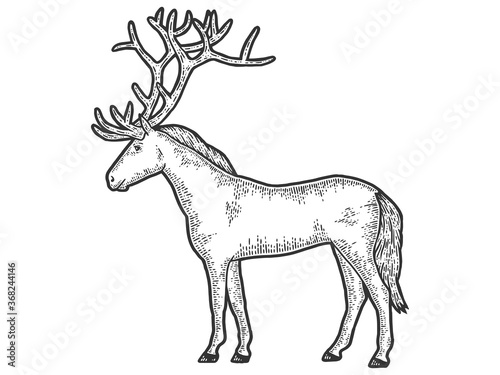 Horse with large deer. Sketch scratch board imitation. Black and white.