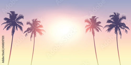 Fototapeta Naklejka Na Ścianę i Meble -  palm trees silhouette on a sunny day summer holiday design vector illustration EPS10