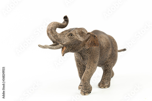 Male Asian Elephant Isolated on White Background © Shan