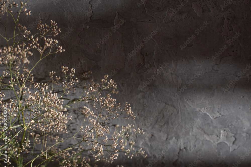 Obraz premium Beautiful blooming white flowers thin branches on a gray vintage stone background