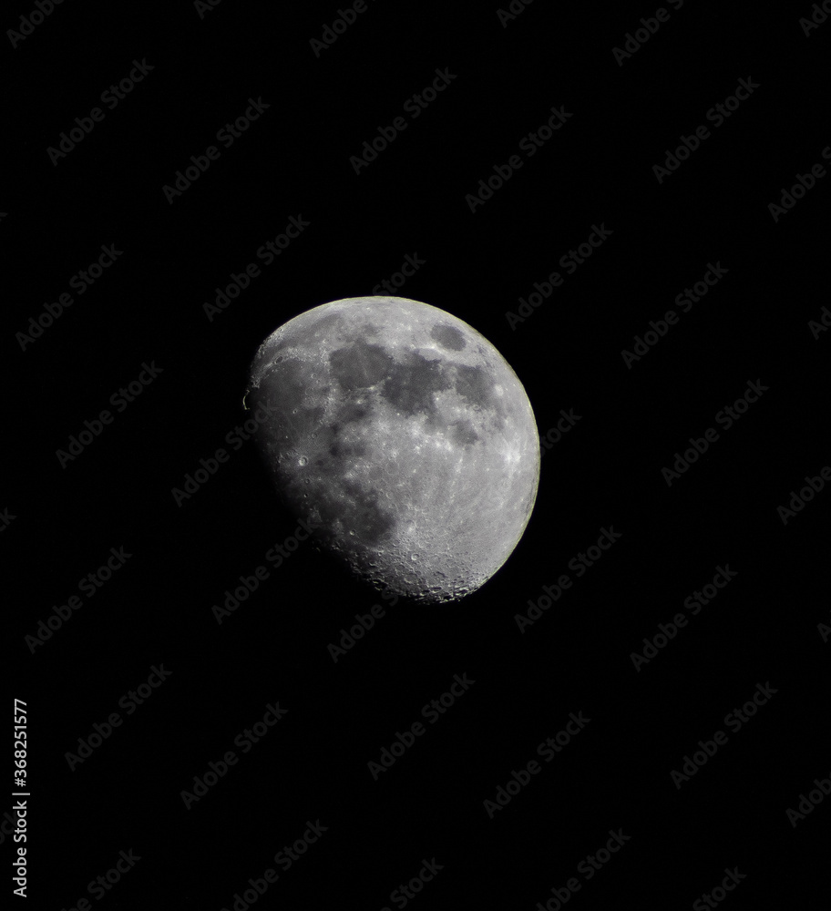 Moon Moon
