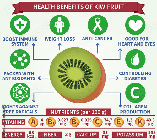 Health benefits of kiwi fruit infographic vector. Well-organized Eps 10 file.