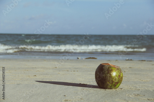 coconut on the beach