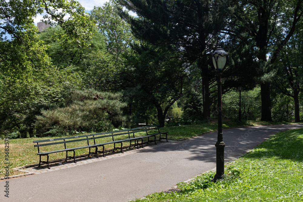 Obraz premium Empty Path with Green Grass and a Bench at Central Park during Summer in New York City