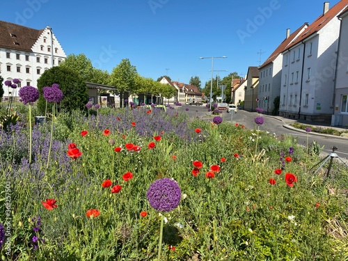 Kreisverkehr mit Blumen geschmückt Straße verläuft in den Horizont