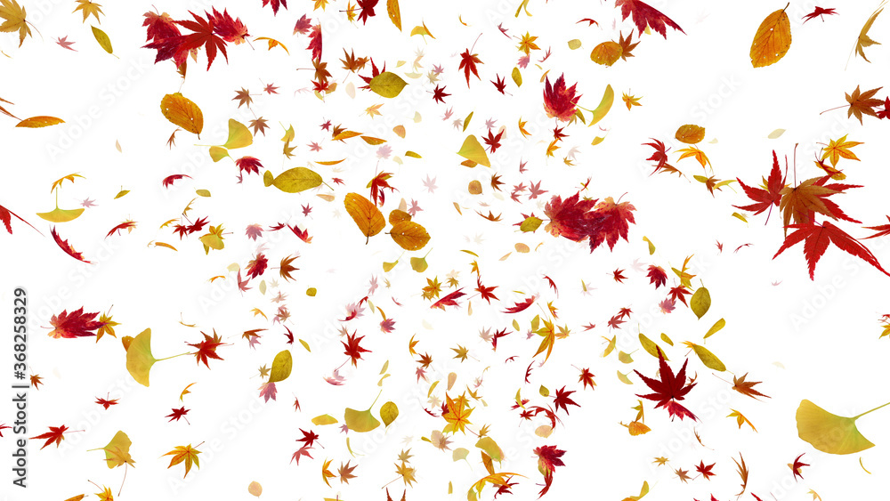 Autumn Flying leaves leaf 3D illustration background. Autumn Flying leaves leaf 3D illustration background.