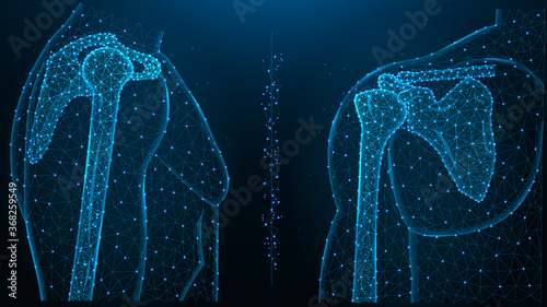 Blue polygonal illustration of the shoulder joint, front and side view.