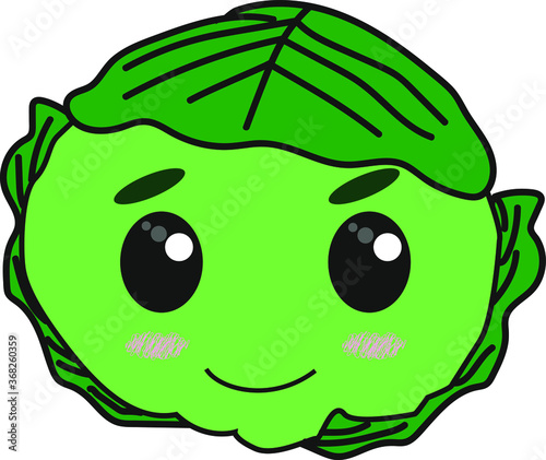 the best cabbage
