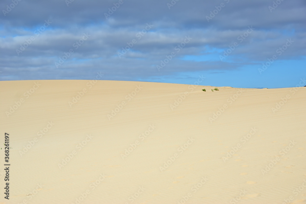 Corralejo dunes, Fuerteventura, Canary Islands Corralejo dunes, Fuerteventura, Canary Islands