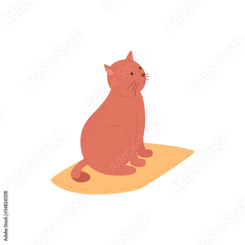 Simple red cat sitting on yellow pillow. Cute domestic animal in flat style. Vector illustration isolated on white background. © Marina