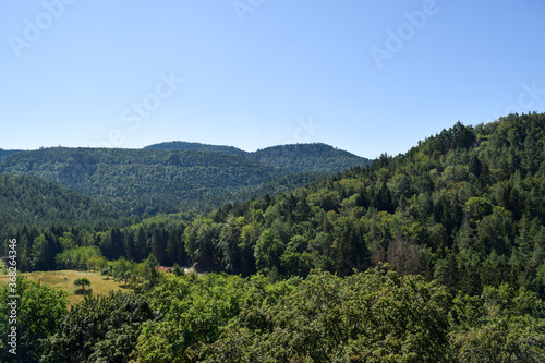 Pfälzer Wald von Burg Berwartstein