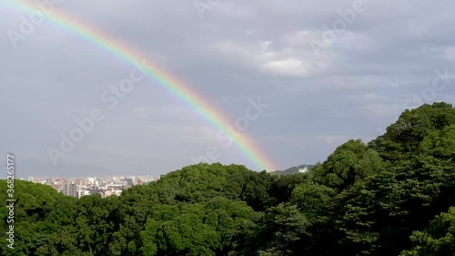 森と街にかかる虹