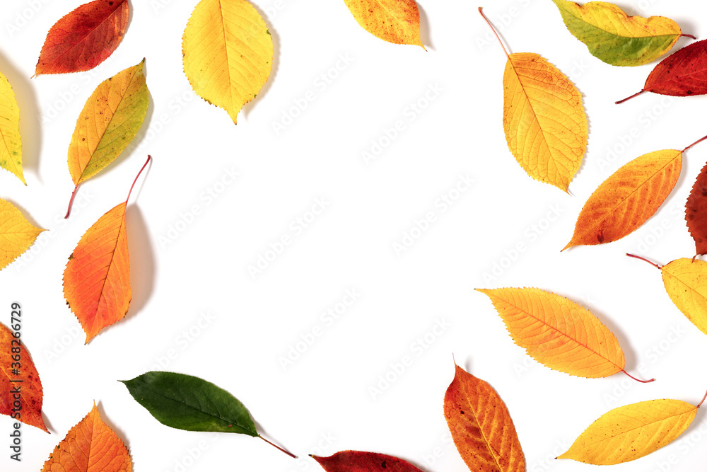 Fototapeta premium Autumn creative composition. Colorful leaves on white background. Fall leaves. Autumn background. Flat lay, top view, copy space
