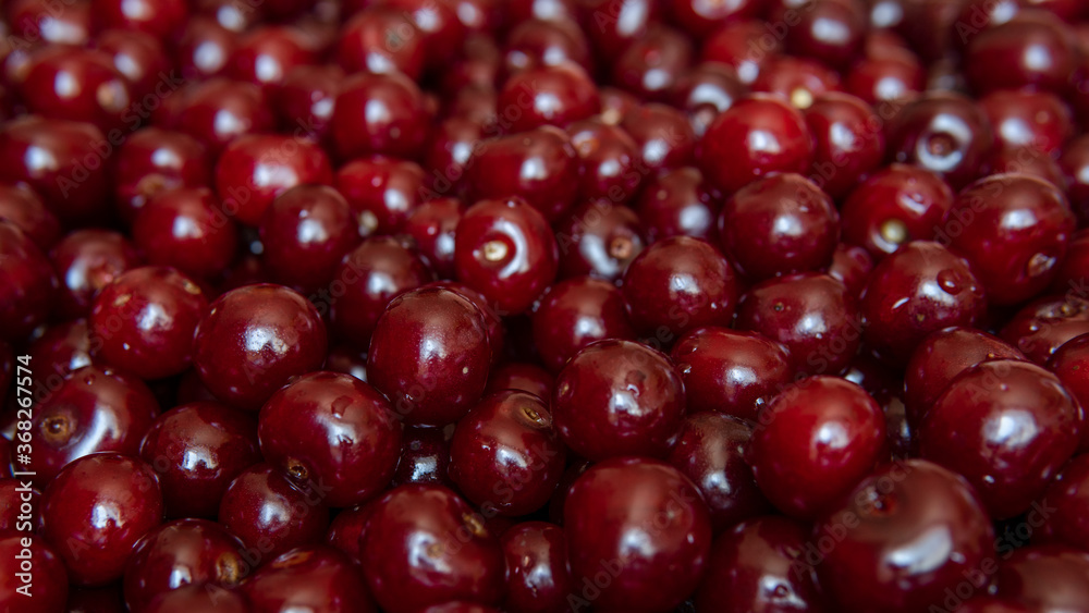 Ripe red juicy cherries. Fresh organic berries background. Vegetarian concept. Healthy food with vitamines. Ripe red juicy cherries. Fresh organic berries background. Vegetarian concept. Healthy food with vitamines.