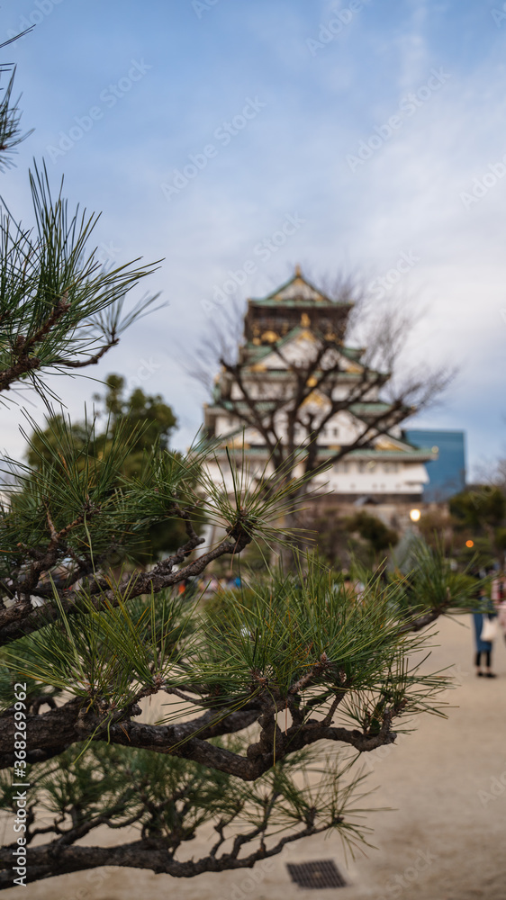 Osaka castle on a cloudy day