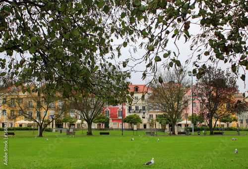 a park with birds, trees and benches