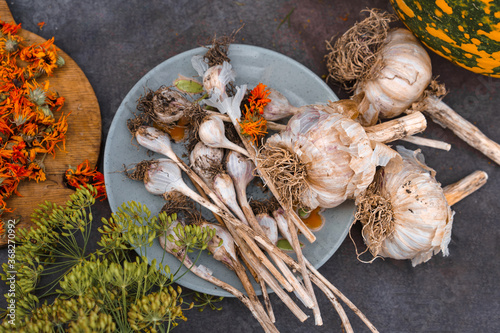 Vegetable collage as a background on a dark table. Seasonal fresh vegetables from the garden