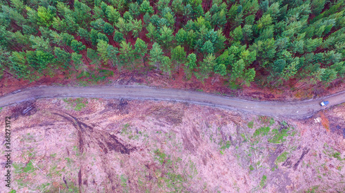 aerial top view of dirt road dividing reforested and deforested place
