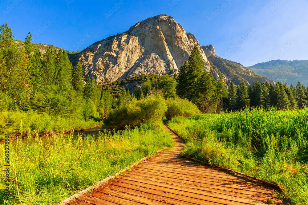 Panorama of Zumwalt Meadows hiking in Kings Canyon National Park, a large grassland in the forest with wildflowers with the surrounding towering cliffs of Kings Canyon.
