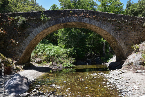 Pont génois dans le Nebbio en Corse photo