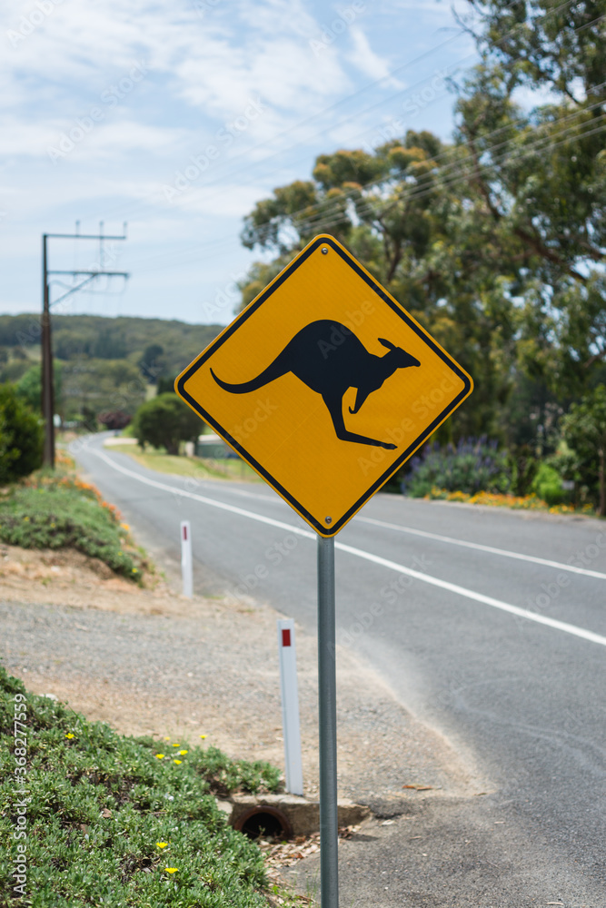 kangaroo sign in semi rural suburb kangaroo sign in semi rural suburb