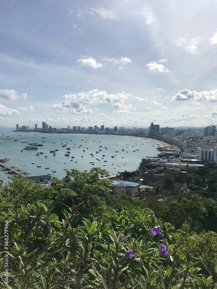 view from pattaya view point