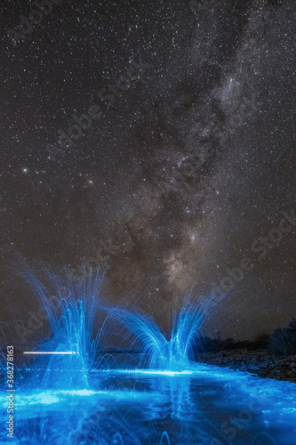 Bioluminesence Bloom