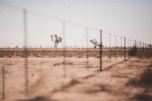 Fence line in a drought paddock