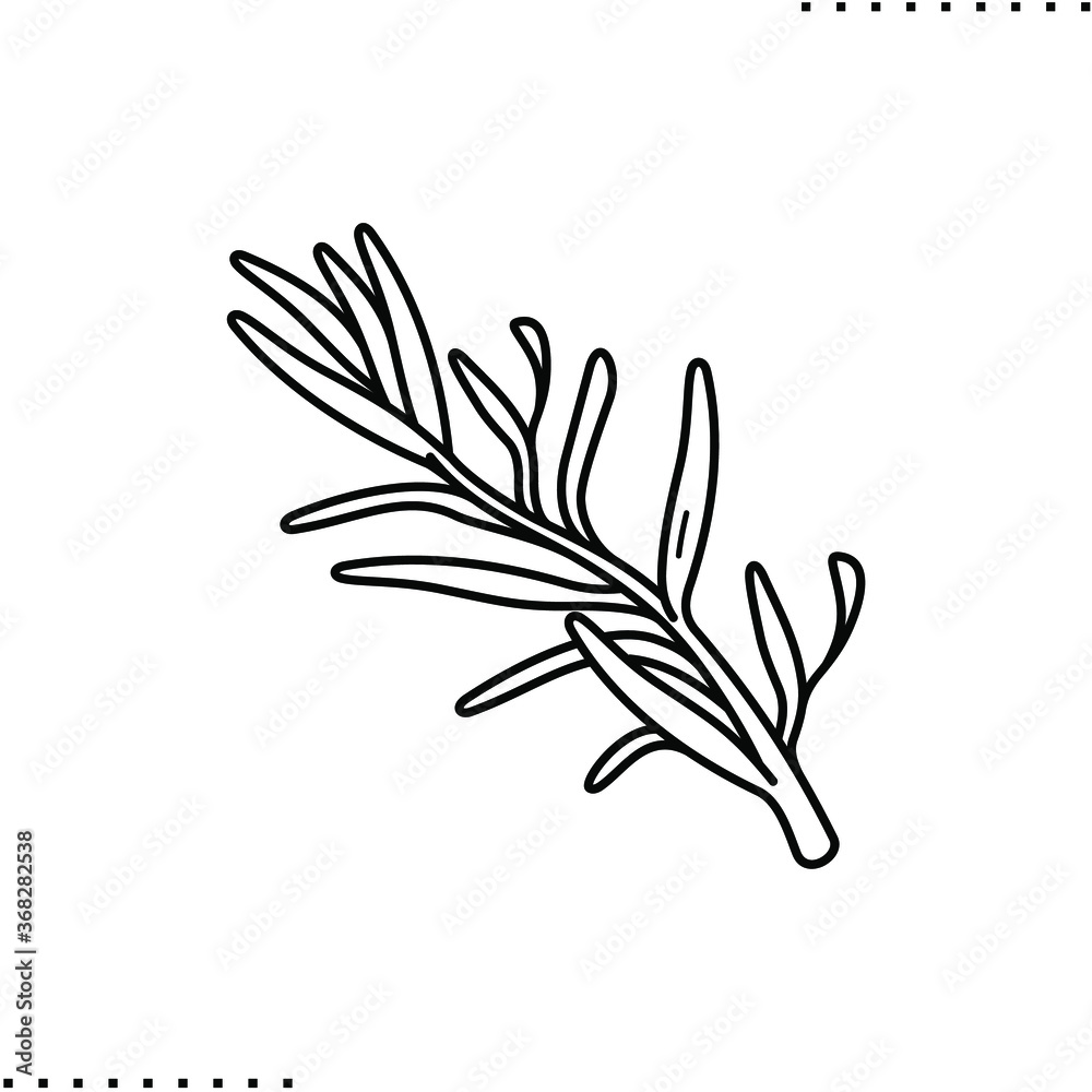 sprig of rosemary vector icon in outlines