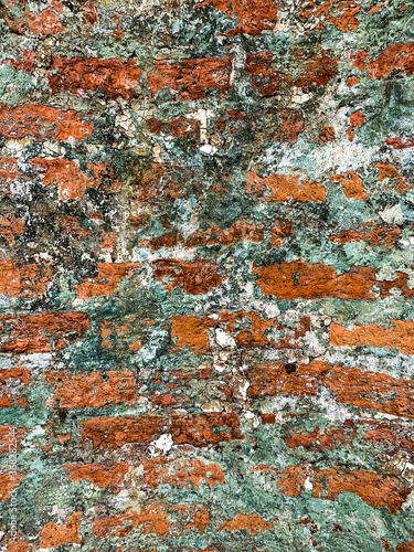 Grunge brick wall with bricks of different colors partially stained by mold and moss. Texture and background. © Борис Александров