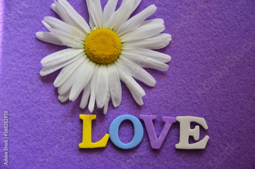 SLOWO LOVE