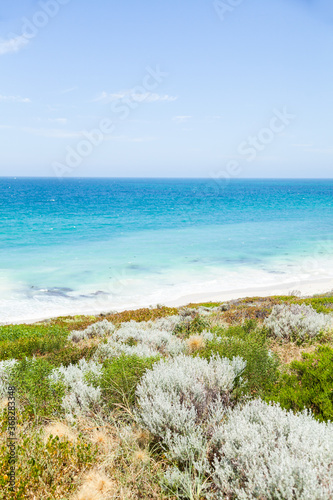 Sunlit coastland with view of shrubs, beach and clear blue coastal waters photo