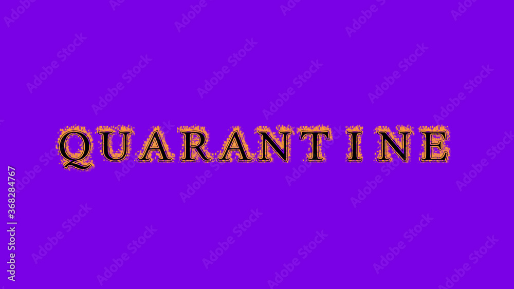 quarantine fire text effect violet background. animated text effect with high visual impact. letter and text effect. Alpha Matte. quarantine fire text effect violet background. animated text effect with high visual impact. letter and text effect. Alpha Matte.